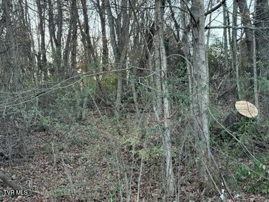 Tbd Briscoe Dr, Bristol, VA 24202 - photo 4