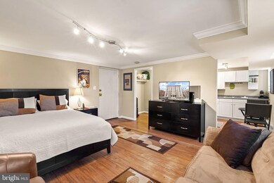 The Copley Plaza unit B3, Washington, DC 20036 - photo 6