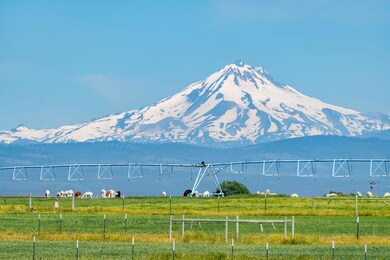 water line mt jefferson oregon mountain