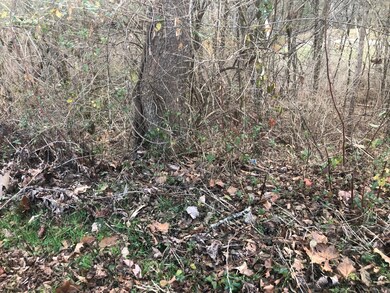 Vacant Land