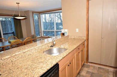 8 Northbrook Village Rd unit C21, Dover, VT 05356 - photo 4