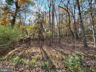 0 Whitetail Dr, Berkeley Springs, WV 25411 - photo 3