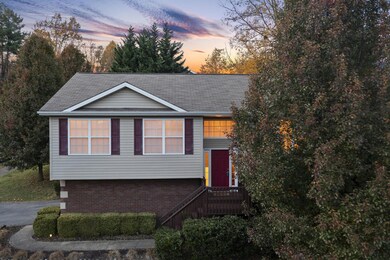 2 Taylor Ridge Ct, Johnson City, TN 37601 - photo 3