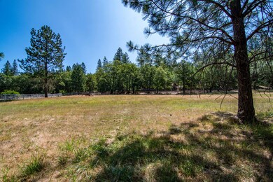Pasture #2