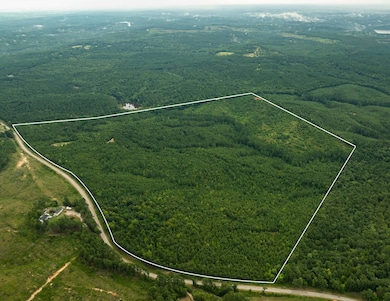 0 Camp Welfare Rd, Winnsboro, SC 29180 - photo 2