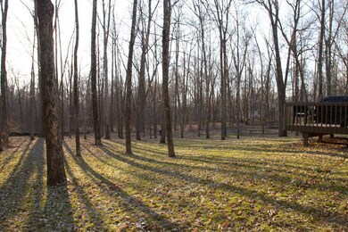 IMG_4565