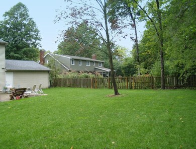 Fenced in Yard