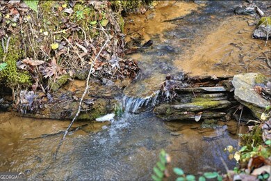 677 Catawba Cir, Ellijay, GA 30540 - photo 2