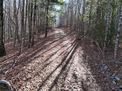 Tract D Carriage Ln, Blairsville, GA 30512 - photo 7