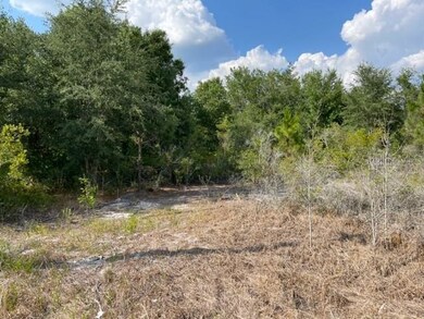 ONE OF TWO LOTS