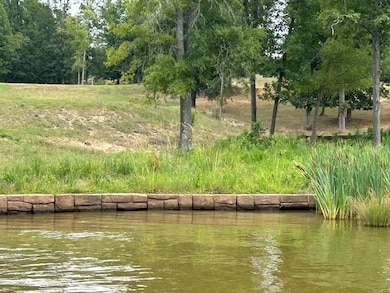 220 Gardenia Dr, Ninety Six, SC 29666 - photo 2