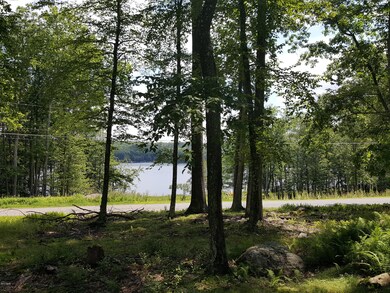 197 Fawn Lake Dr, Lackawaxen Township, PA 18428 - photo 3