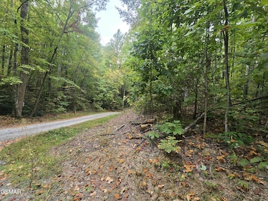 L 10/11 Bluebird Ridge Way, Sevierville, TN 37876 - photo 5