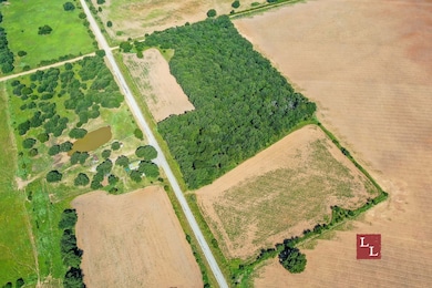 Union Valley Rd, Terral, OK 73569 - photo 3