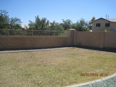 PM 342 Backyard