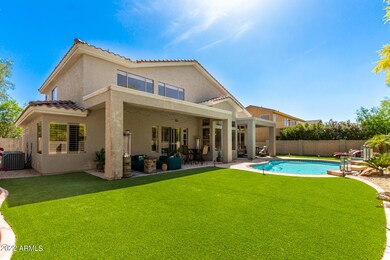 Resort Backyard