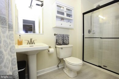 9515 Hickory Limb, Columbia, MD 21045 - photo 6