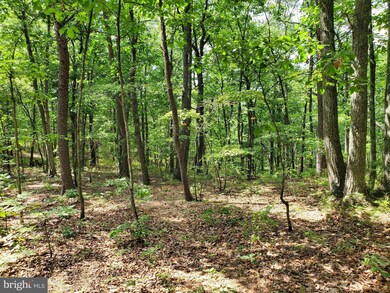 0 Vacation Way unit WVBE2021136, Hedgesville, WV 25427 - photo 2