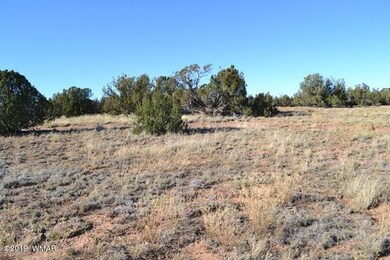 3858 Hidden Ranch Rd (6)