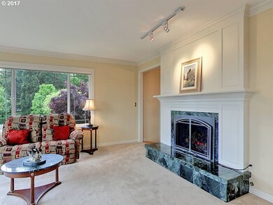 Fireplace Gas