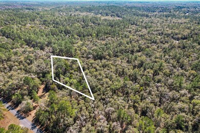 987 E Odin Dr, Citrus Springs, FL 34434 - photo 4