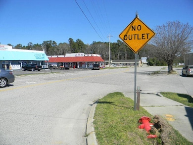 126 Pinckney Rd, Santee, SC 29142 - photo 2