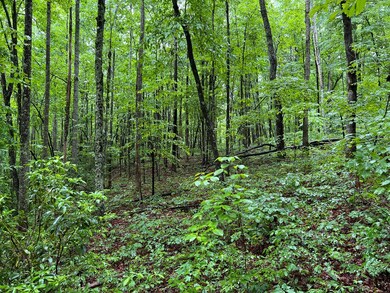 0 Burgess Loop unit 210762, Crossville, TN 38572 - photo 7