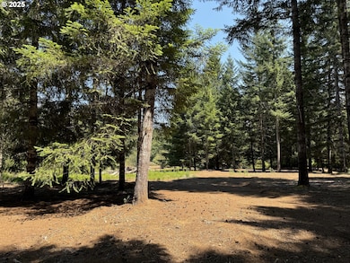 0 Coast Creek Rd, Willamina, OR 97396 - photo 6