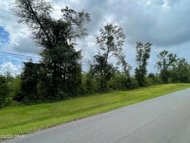 0 Bumpnose Rd unit 730126, Marianna, FL 32446 - photo 4