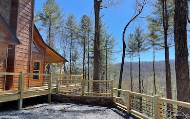Additional View