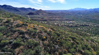 OTHER SIDE OF THE MOUNTAIN