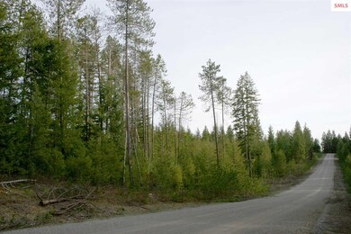 NNK B6 Northern Sky Rd, Athol, ID 83801 - photo 6