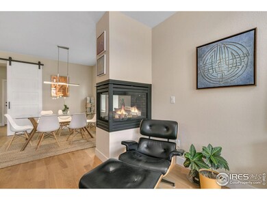 403 Osiander St, Fort Collins, CO 80524 - photo 7