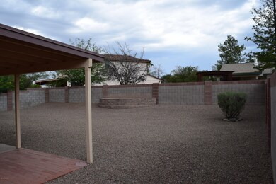 Large Backyard