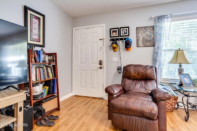 004240913-2-116GraySquirrelLnSeymourTN-S