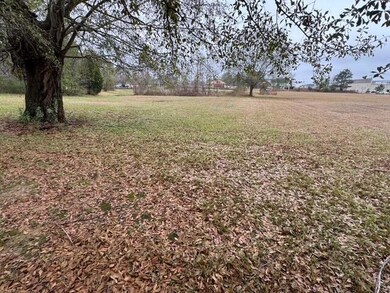106 Pierce Town Rd, Fulton, MS 38843 - photo 6