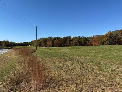 0 Irish Rd unit 75021, Chatham, VA 24531 - photo 3
