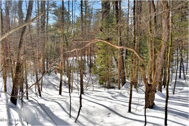 L96 Highview Ln unit Lot 12, Wevertown, NY 12886 - photo 7