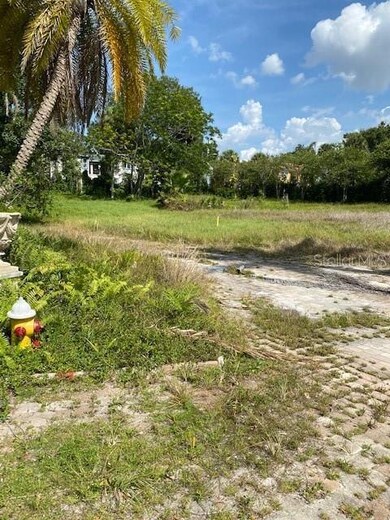 0 Palm Bluff St, Clearwater, FL 33755 - photo 7