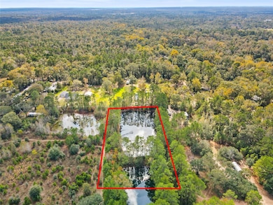 18186 Blackberry Ln, Conroe, TX 77306 - photo 3