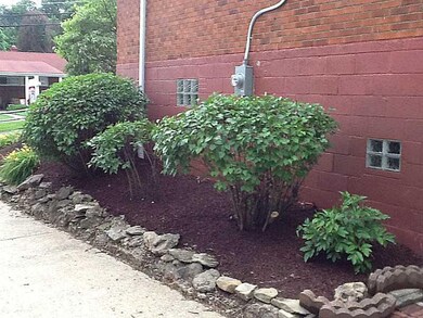 Yard/Garden. Side of house closest to garage