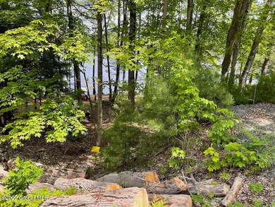 00 S Shore Rd, Day, NY 12835 - photo 6