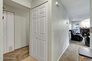AVDP06