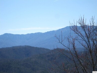 Additional View 3