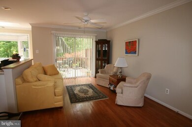 9021 Daum Ct, Springfield, VA 22153 - photo 5