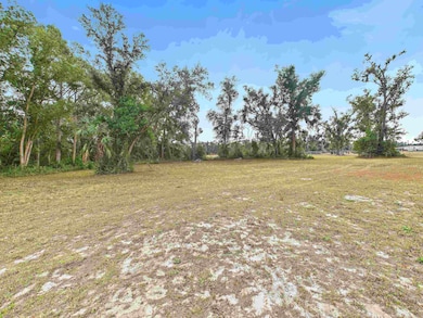 Vacant Marshall Dr, Perry, FL 32347 - photo 7
