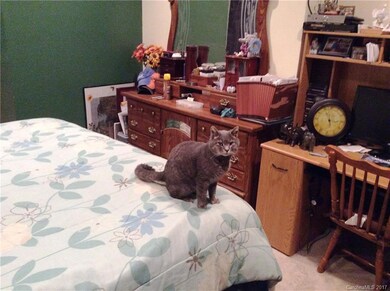 322 Oleta Rd, Hendersonville, NC 28792 - photo 7