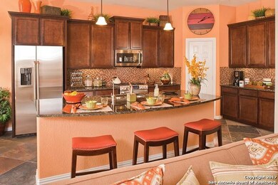 10526 Newcroft Place, Helotes, TX 78023 - photo 4