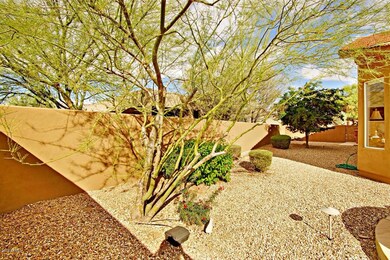 backyard 3