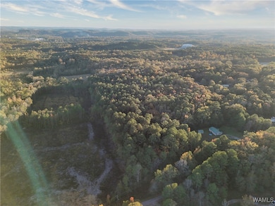 0 Pleasant Way, Jasper, AL 35501 - photo 4